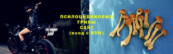 первитин Богородск