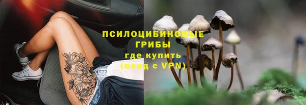 крисы Вуктыл
